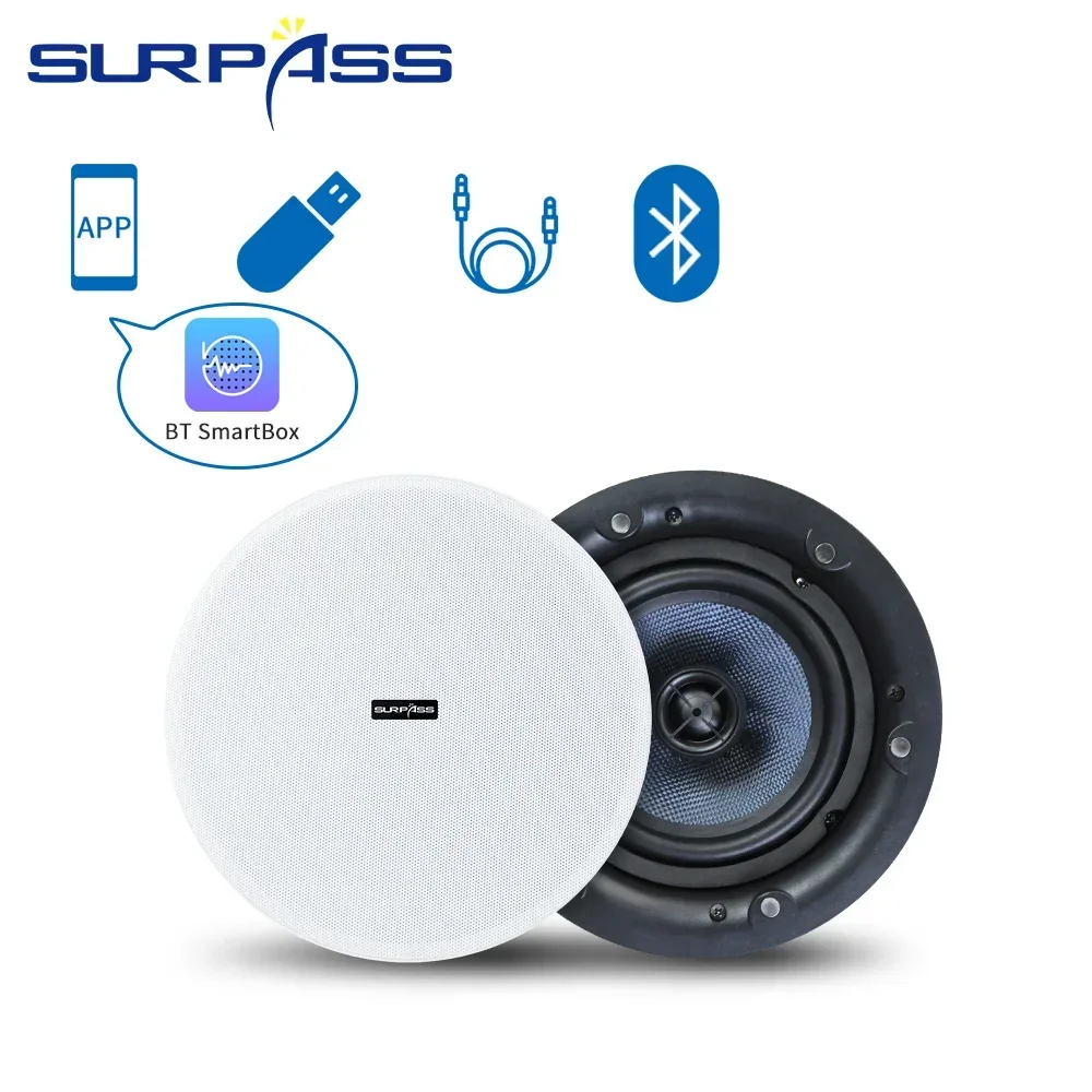 天井 Bluetooth スピーカー 5.25 インチ 内蔵 - Home Cinema Bluetooth 5.1 のレビューと価格